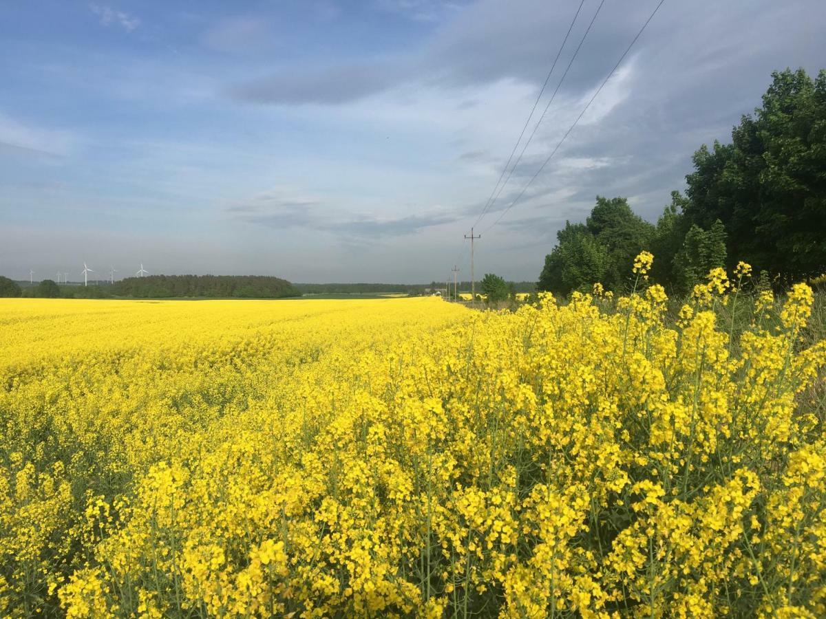 Las, Woda I Przygoda - Dom Z Sauna I Basenem Choczewo Exterior foto